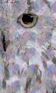 フクロウ3（デジタル 作： Scott J. Davis
