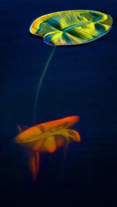 T-Lily3 作： Scott J. Davis