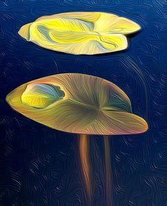 T-Lily 作： Scott J. Davis
