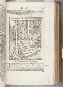 Cosmographia、Fol 437、1544 作： Sebastian Munster