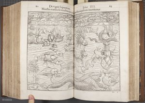 Cosmographia、Fol 852-853、1544 作： Sebastian Munster