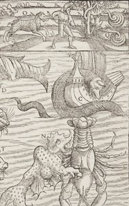 Cosmographia、Fol 853、1544 作： Sebastian Munster