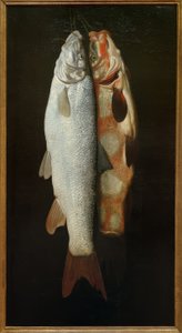 魚の静物画