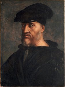 アンドレア・ドリアの肖像（絵画 作： Sebastiano del (c.1485 1547) Piombo