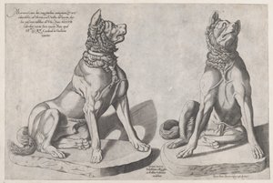 ローマの素晴らしさの鏡：2匹の犬、1558年、1558年。 作： Sebastiano di Re