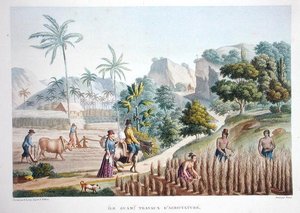 フィリピン・グアムの農場労働者（Louis Claude Desaulses de Freycinet（1779-1842）の「Voyage Autour du Monde（1817-20）」から、Pomelが彫刻し、1822-24年に出版されたカラーリトグラフ。） 作： Sebastien (d.1832) (after) Leroy