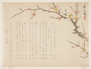 1837年1月、開花梅（色木版画） 作： Seik Hashimoto