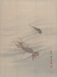 ザリガニを示す海底、カリフォルニア州。 1890-92。 作： Seki Shuko