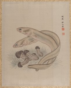 ウナギ、カリフォルニア州。 1890-92。 作： Seki Shuko