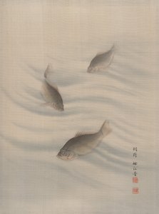 魚の水泳、カリフォルニア州。 1890-92。 作： Seki Shuko