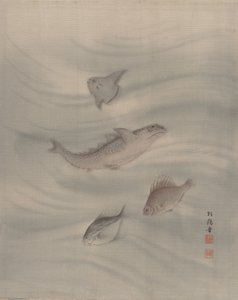 魚、カリフォルニア州。 1890-92。 作： Seki Shuko