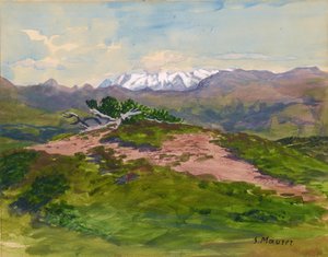 ツィラタール・アルプスを望む山中のハイキングコース 作： Serafin Maurer