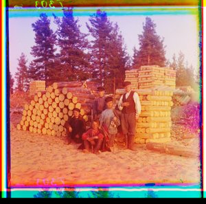 ウッドカッター、スビル川、ボルガ・バルト海水道、ロシア 作： Sergei Mikhailovich Prokudin Gorskii
