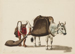 ウォーターキャリア、c1810