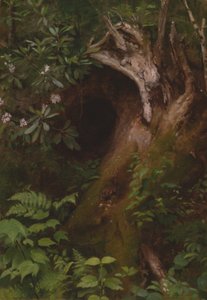 リス 作： Seymour Joseph Guy