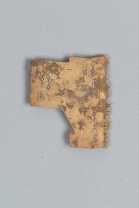 ディバイニング・ボーン（貝殻）の欠片 作： Shang Dynasty Chinese School