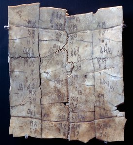 亀の甲羅に描かれたピクトグラムと占いの文字（亀の甲羅