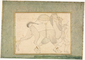 ラクダと花婿、シングルページイラスト、1545-1576年頃。 作： Shaykh Muhammad