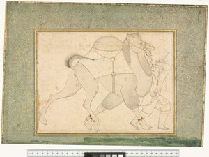 ラクダと花婿、c.1545-76 作： Shaykh Muhammad
