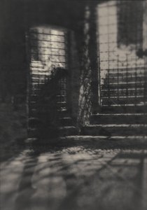  作： Sheila Bernard