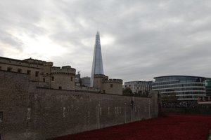 Blood Swept Lands and Seas of Red、ロンドン塔、2014年。 作： Sheldon Marshall