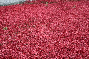 Blood Swept Lands and Seas of Red、ロンドン塔、2014年。 作： Sheldon Marshall