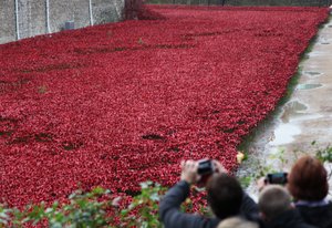 Blood Swept Lands and Seas of Red、ロンドン塔、2014年。 作： Sheldon Marshall