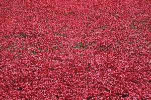 Blood Swept Lands and Seas of Red、ロンドン塔、2014年。 作： Sheldon Marshall