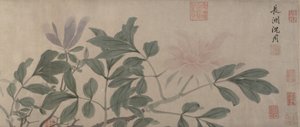 四季の花。 作： Shen Zhou