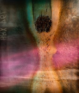  作： 