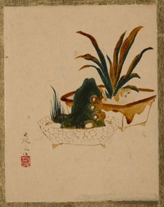 ハルディニエールの花。