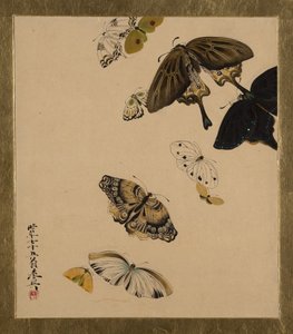 さまざまな主題の漆の絵画：蝶、1881年 作： Shibata Zeshin