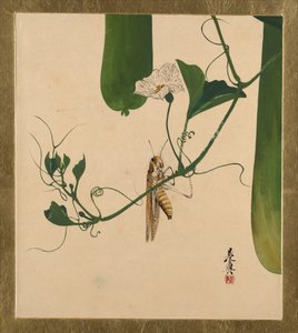  作： 柴田絶心