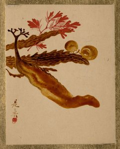 海藻。 作： Shibata Zeshin