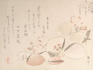 桜と貝殻, 19世紀., 19世紀. 作： Shinsai