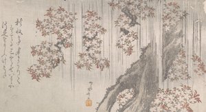 雨の中の桜, 19世紀., 19世紀. 作： Shinsai