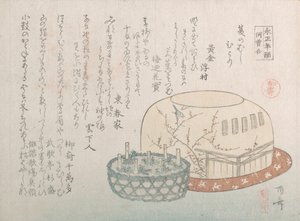 昆虫採集と鉢植えのハーブ、19 世紀., 19 世紀. 作： Shinsai
