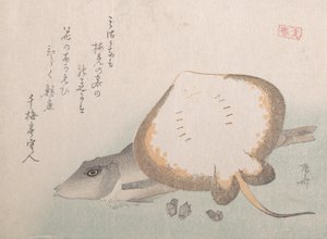 アカエイとホウボウ、おそらく1815年、おそらく1815年。 作： Shinsai
