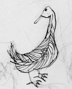 鳥、c1950。 作： Shirley Markham