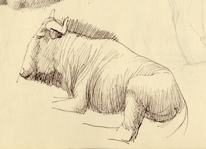 グヌー、c1951。 作： Shirley Markham