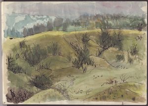 茂みのある風景、イタリア、c1950。 作： Shirley Markham