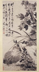 ハイビスカス、ロータス、ロック1705-7。 作： Shitao