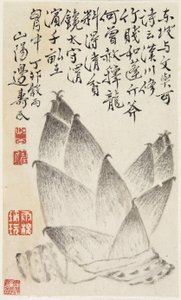 野菜のアルバムからのタケノコ（紙にインク） 作： Shou min Pien