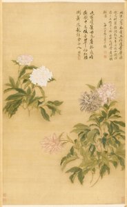 牡丹、掛軸 作： Shouping Yun