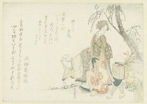 春の七草集め