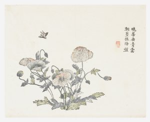 マスタードシードガーデン 作： Shun Kung Chien