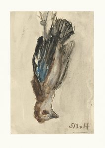足でぶら下がっている死んだ鳥 作： Sientje Mesdag van Houten