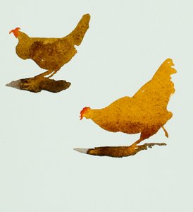 二羽のニワトリ, 2013（水彩） 作： サイモン・フレッチャー