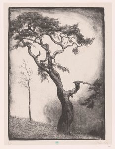 松の木 作： Simon Moulijn (signed by artist)