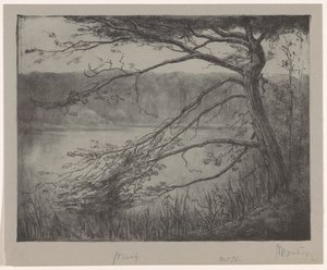Oisterwijk 近くのフェン 作： Simon Moulijn (signed by artist)